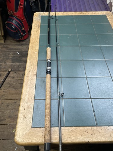 Fishing spinning rod - fishing/spinning,