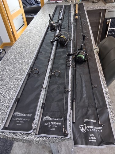 Pike fishing rods - and, reels