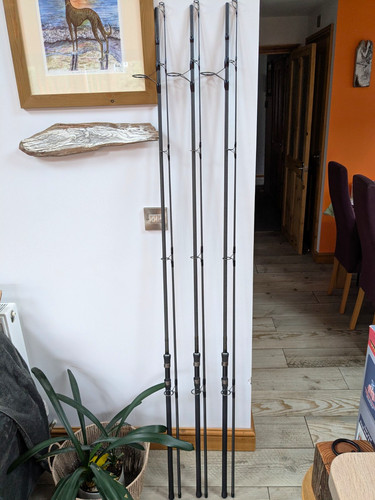 Wychwood extremis 12ft - wychwood,