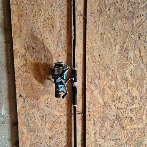 Infinity rod and baitrunner - rod,