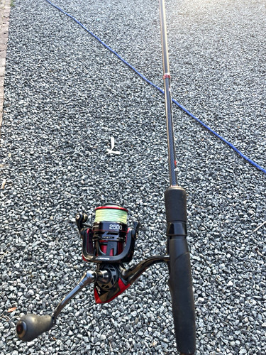 Warrior 2500 spinning combo - 2500,