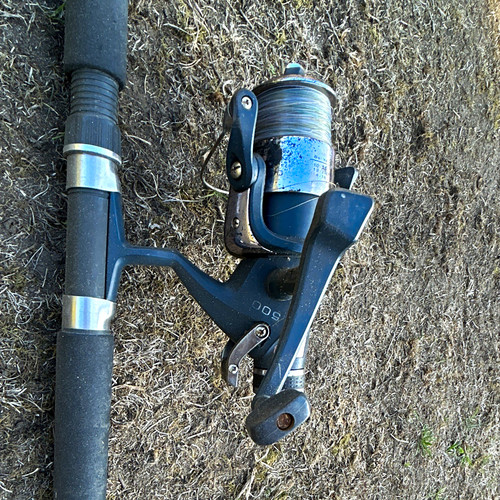 Axl freespin 500 spinning - spinning, rod