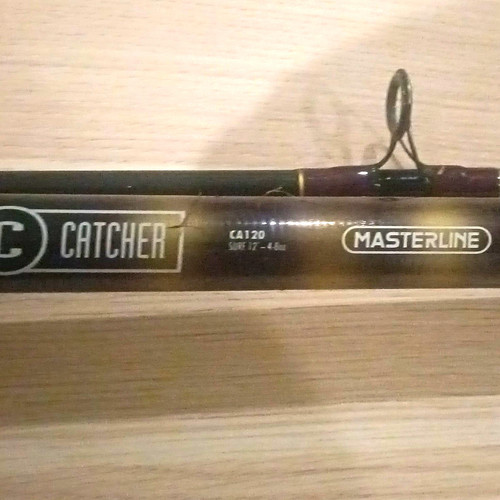 Beach fishing rod - rod, well