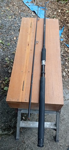 Carbon spinning rod daiwa - spinning,